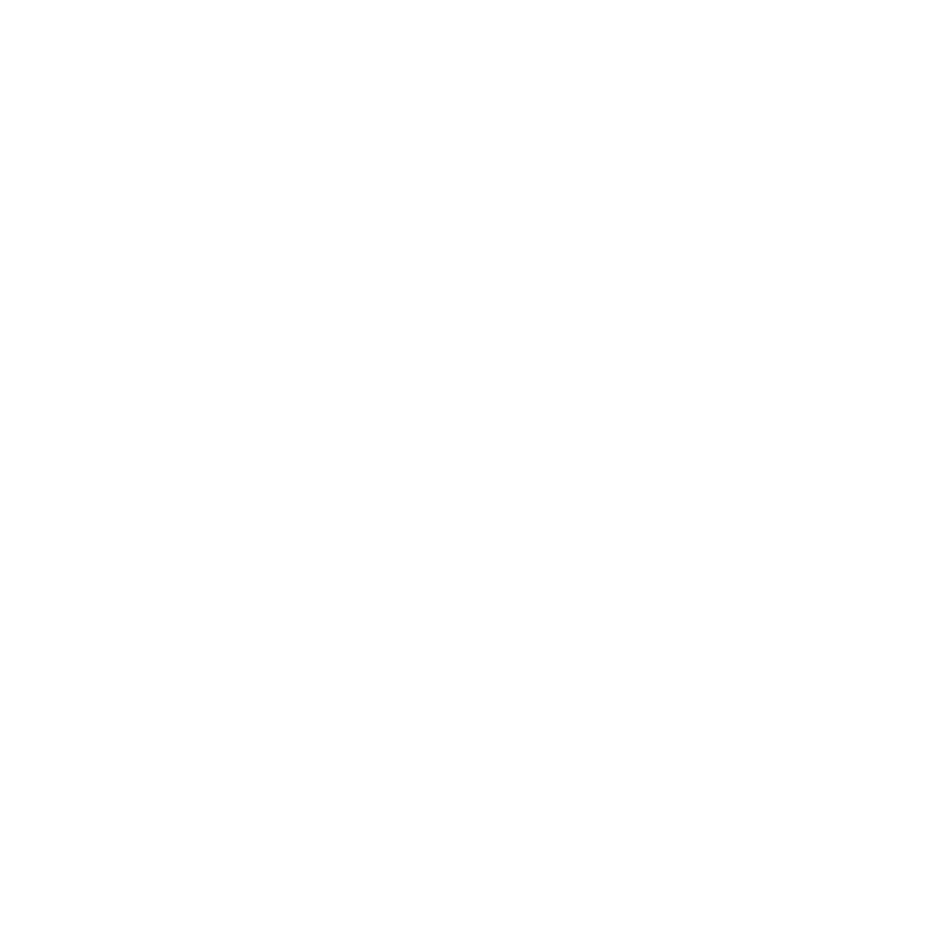 Logo white Pino