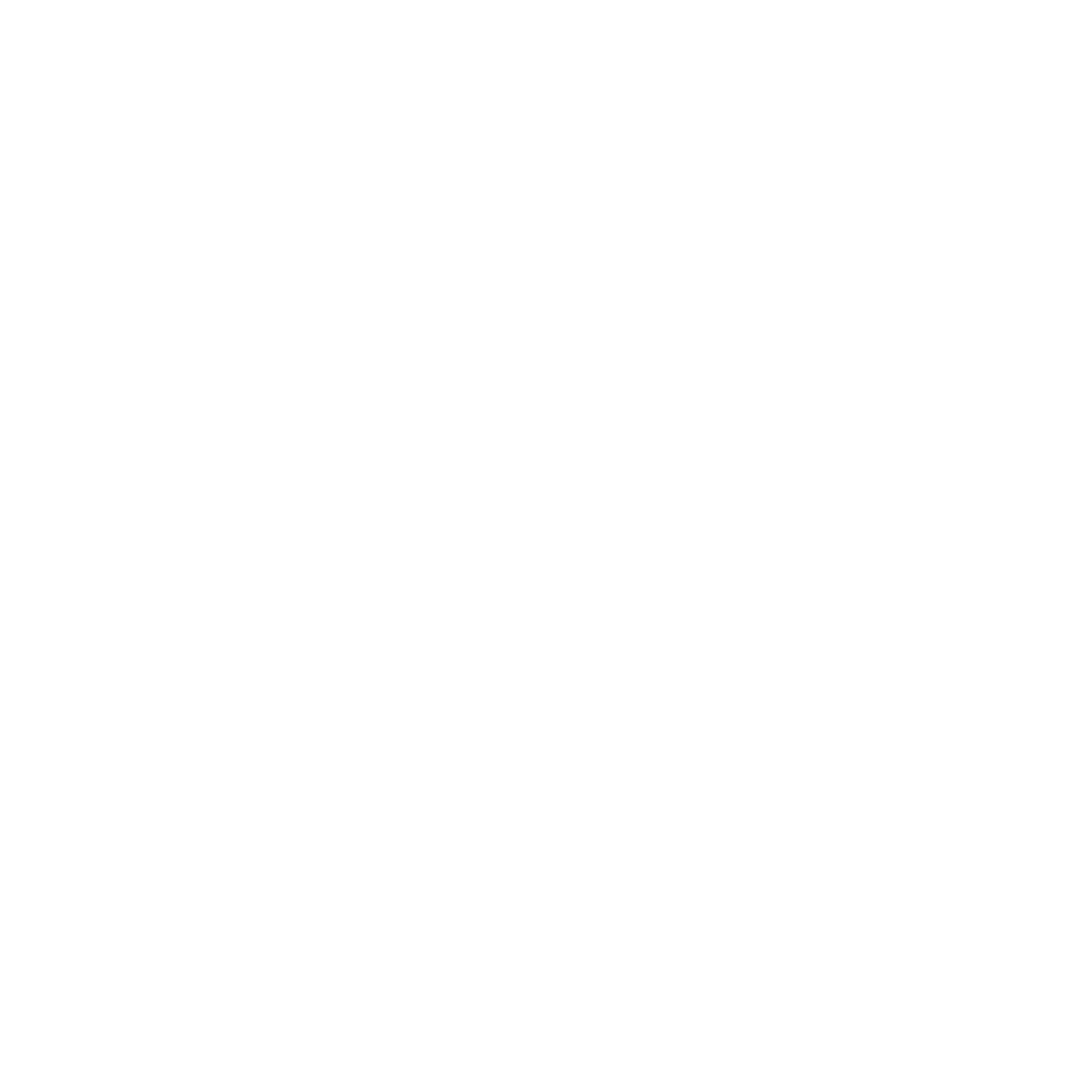 Logo white Schiphol