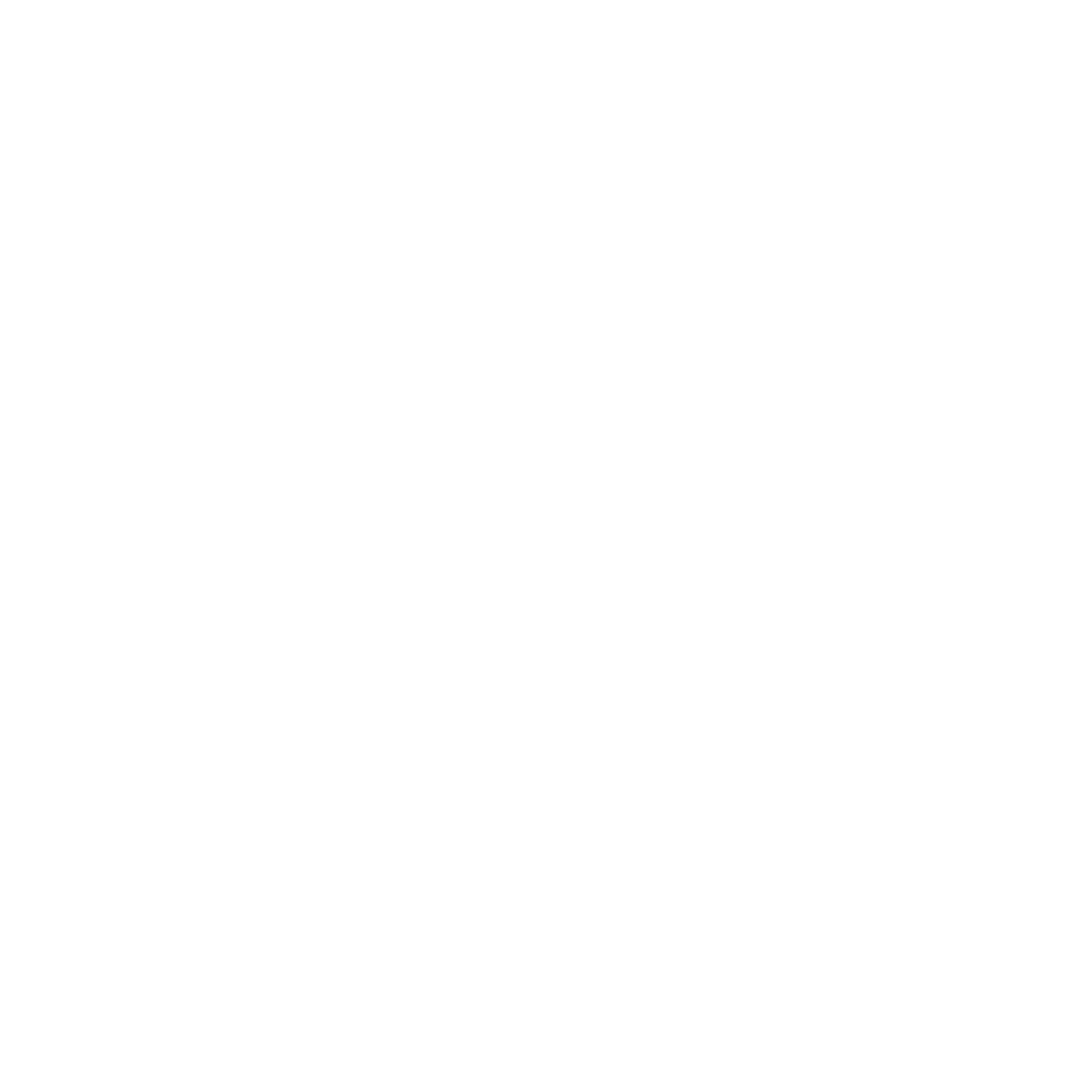 Logo white Staedean