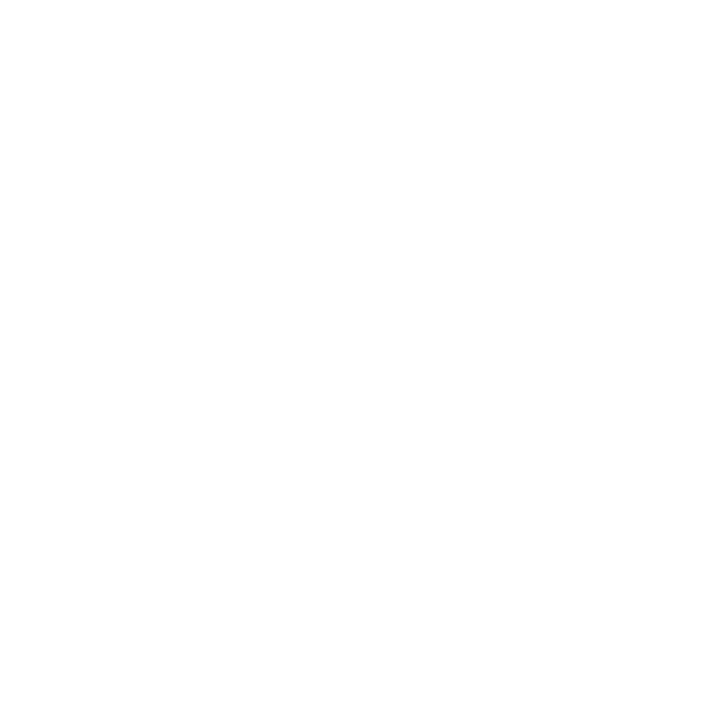 Logo white Storio